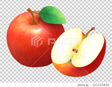 赤いりんごと葉の手描き水彩イラスト_半分にカットしたりんご_新鮮なフルーツ 121123810