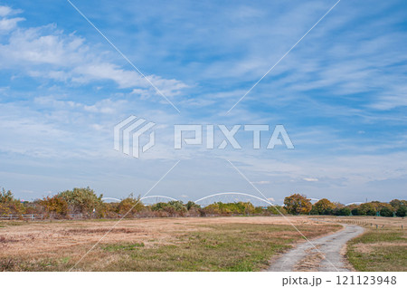淀川河川公園八雲地区風景　大阪府守口市 121123948