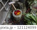 晩秋の景色と紅葉 121124099