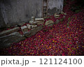 晩秋の景色と紅葉 121124100