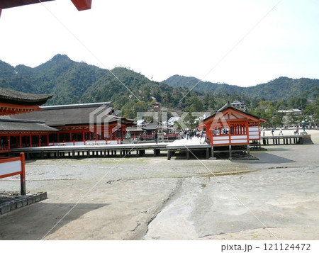 広島県廿日市市の厳島、宮島にある神社で海上に浮かぶ朱塗の大鳥居と社殿の厳島神社とも表記される嚴島神社 121124472