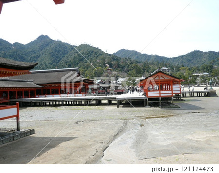 広島県廿日市市の厳島、宮島にある神社で海上に浮かぶ朱塗の大鳥居と社殿の厳島神社とも表記される嚴島神社 121124473