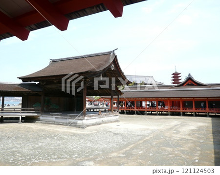 広島県廿日市市の厳島、宮島にある神社で海上に浮かぶ朱塗の大鳥居と社殿の厳島神社とも表記される嚴島神社 121124503