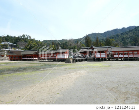 広島県廿日市市の厳島、宮島にある神社で海上に浮かぶ朱塗の大鳥居と社殿の厳島神社とも表記される嚴島神社 121124513
