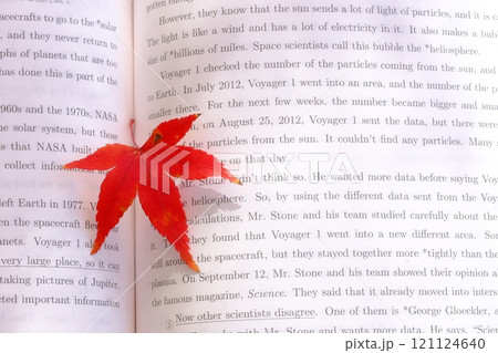 英文と紅葉のイメージ素材 英文と紅葉のイメージ素材 121124640