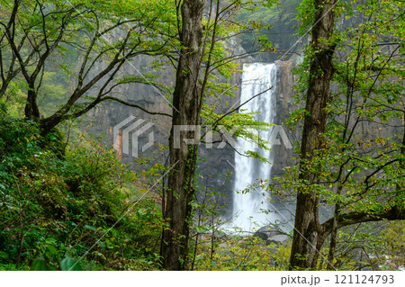 苗名滝の岩壁 121124793