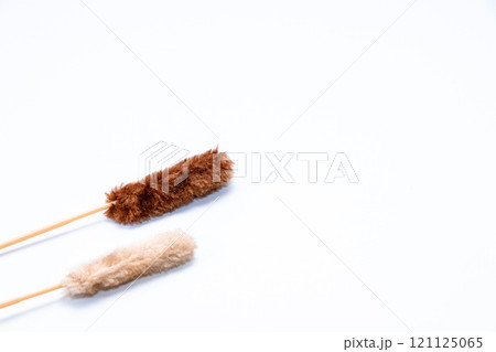 猫じゃらし 121125065