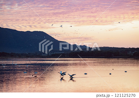 新潟　日没後の佐潟 121125270