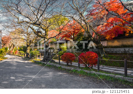 紅葉 秋の京都 哲学の道の町並み 紅葉 秋の京都 哲学の道の町並み 121125451
