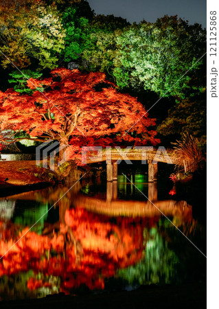 日本庭園の紅葉イメージ 121125868