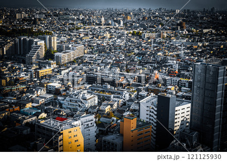 東京のビル群（世田谷区キャロットタワー） 121125930