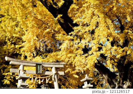 賀茂神社 【和歌山県紀の川市】 賀茂神社 【和歌山県紀の川市】 121126517