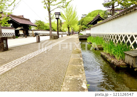 津和野 殿町通りのなまこ塀を取り巻く堀割りのある舗道の風景 島根県鹿足郡津和野町 津和野 殿町通りのなまこ塀を取り巻く堀割りのある舗道の風景 島根県鹿足郡津和野町 121126547