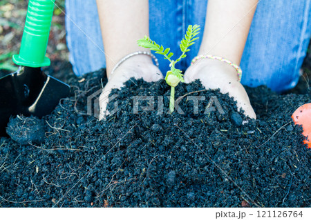 Earth Day Concept Earth Day Concept 121126764
