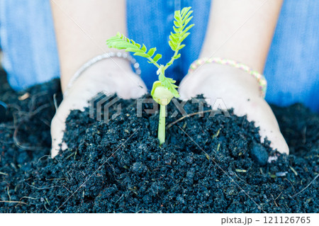 Earth Day Concept Earth Day Concept 121126765