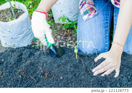 Earth Day Concept Earth Day Concept 121126773