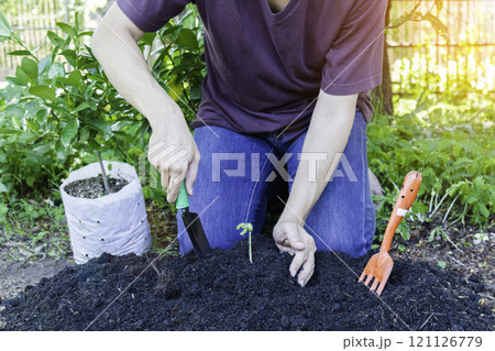 Earth Day Concept Earth Day Concept 121126779