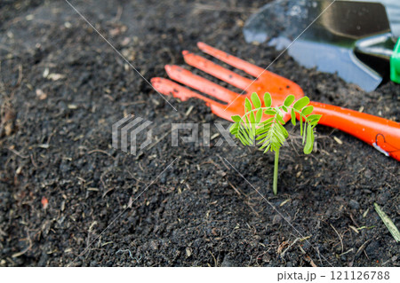 Plant a tree 121126788