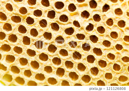 Fresh Honey comb 121126808