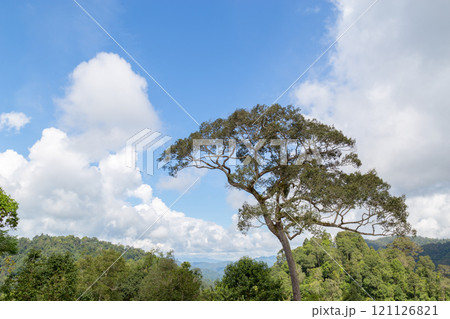 Mountain landscape and skyline 121126821
