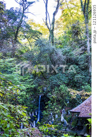 高尾山 琵琶滝コース(6号路) 登山道沿い 琵琶滝 11月下旬 高尾山 琵琶滝コース(6号路) 登山道沿い 琵琶滝 11月下旬 121126935