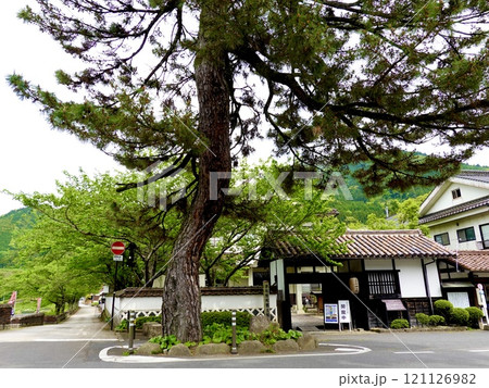 津和野 津和野町郷土館の門が見える風景 島根県鹿足郡津和野町 津和野 津和野町郷土館の門が見える風景 島根県鹿足郡津和野町 121126982