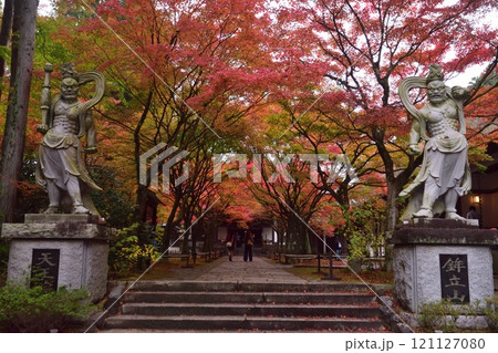 呑山観音寺の紅葉 121127080