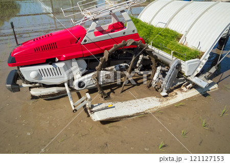 rice-planting 121127153