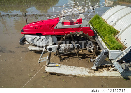 rice-planting rice-planting 121127154
