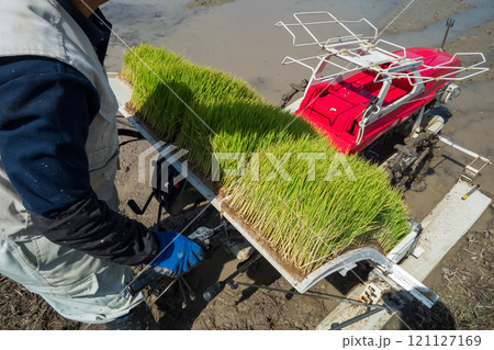 rice-planting 121127169