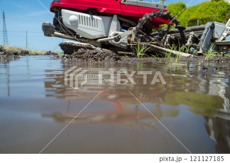 rice-planting rice-planting 121127185