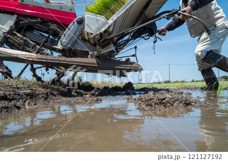 rice-planting rice-planting 121127192