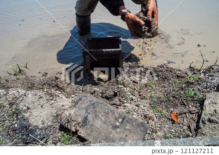 rice-planting 121127211