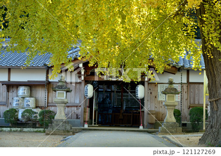 丹生酒殿神社(イチョウ) 【和歌山県かつらぎ町】 丹生酒殿神社(イチョウ) 【和歌山県かつらぎ町】 121127269