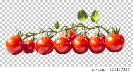 Fresh red tomatoes on vine, vibrant and juicy 121127327