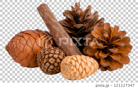 Natural pine cones and wood pieces arranged artistically 121127347
