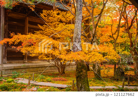 【京都風景】秋の池を彩る静けさの中の紅葉 121127662