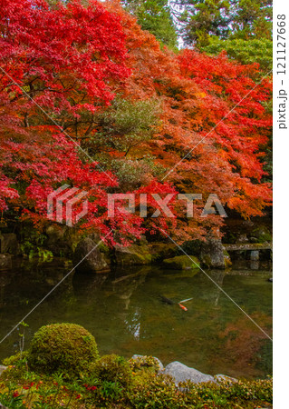 【京都風景】秋の池を彩る静けさの中の紅葉 【京都風景】秋の池を彩る静けさの中の紅葉 121127668