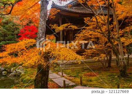 【京都風景】秋の池を彩る静けさの中の紅葉 【京都風景】秋の池を彩る静けさの中の紅葉 121127669