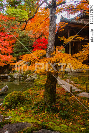 【京都風景】秋の池を彩る静けさの中の紅葉 【京都風景】秋の池を彩る静けさの中の紅葉 121127670