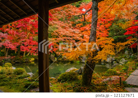 【京都風景】秋の池を彩る静けさの中の紅葉 【京都風景】秋の池を彩る静けさの中の紅葉 121127671