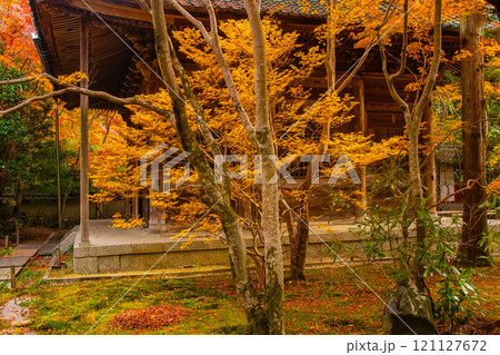 【京都風景】秋の池を彩る静けさの中の紅葉 121127672