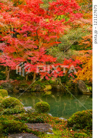 【京都風景】秋の池を彩る静けさの中の紅葉 【京都風景】秋の池を彩る静けさの中の紅葉 121127675