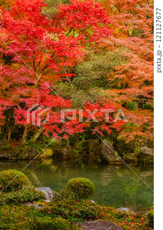 【京都風景】秋の池を彩る静けさの中の紅葉 121127677