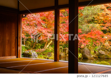 【京都風景】秋の池を彩る静けさの中の紅葉 121127685