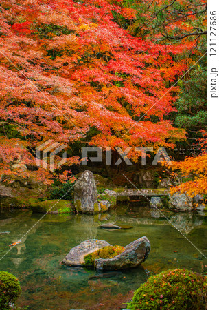 【京都風景】秋の池を彩る静けさの中の紅葉 121127686