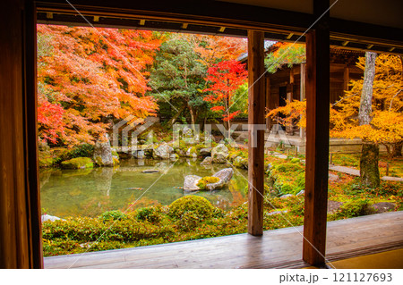 【京都風景】秋の池を彩る静けさの中の紅葉 121127693