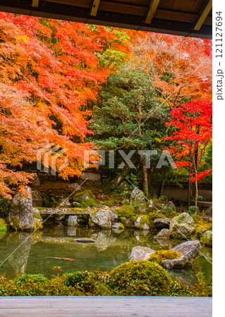【京都風景】秋の池を彩る静けさの中の紅葉 121127694