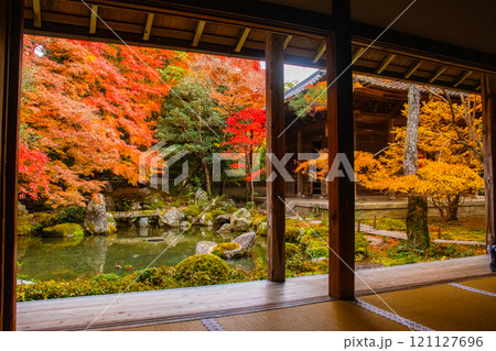 【京都風景】秋の池を彩る静けさの中の紅葉 121127696