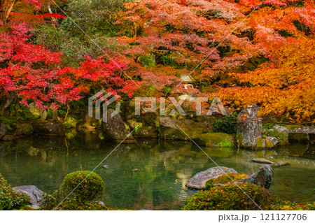 【京都風景】秋の池を彩る静けさの中の紅葉 121127706